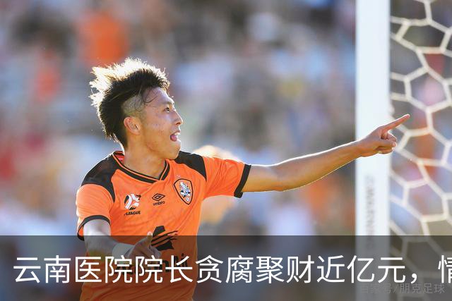 云南医院院长贪腐聚财近亿元，情人遍布创下新高